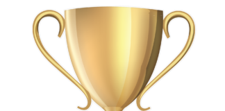 Reva Feldman Wins City Manager Of The Year Award