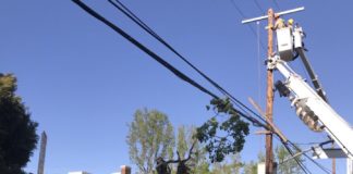 Brush Fire In Hollywood Hills Quickly Extinguished