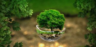 Santa Monica Introduces New Climate Action Plan