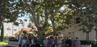 Locals Outraged Over Removal Of Century Old Sycamore