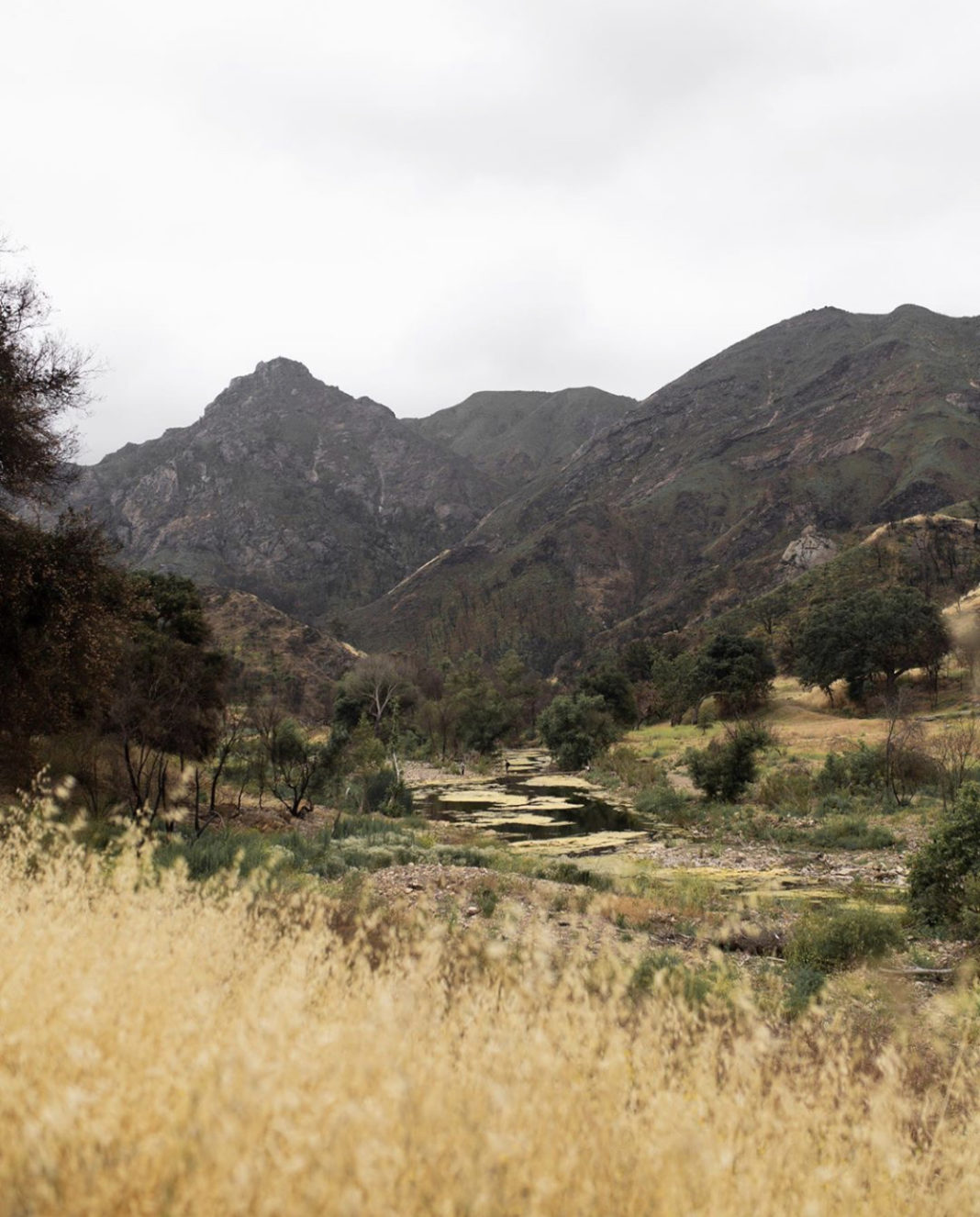 9BFAEA4F-38B5-4BE2-BD1E-6C1BE72D7735