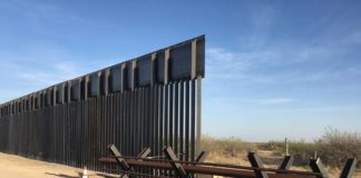 Judge Rules “No Legal Standing In Border Wall Case”