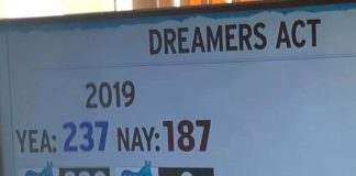 Dreamers And Promise Act Passes In The House