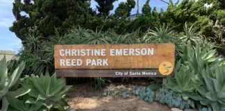 Free Family Fun Days At Christine Emerson Reed Park