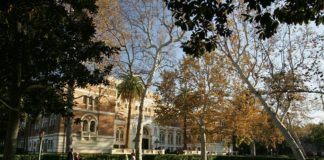 Making Money To Support Yourself In College