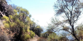 Missing Female Hiker Found Dead