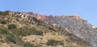 Malibu Brush Fire Ignited Near PCH