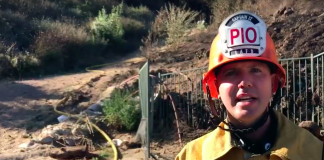 Firefighters Tame Flames In Heavy Brush In Pacific Palisades