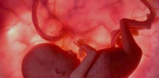 Over 2,000 Fetal Remains Found In Will County Home