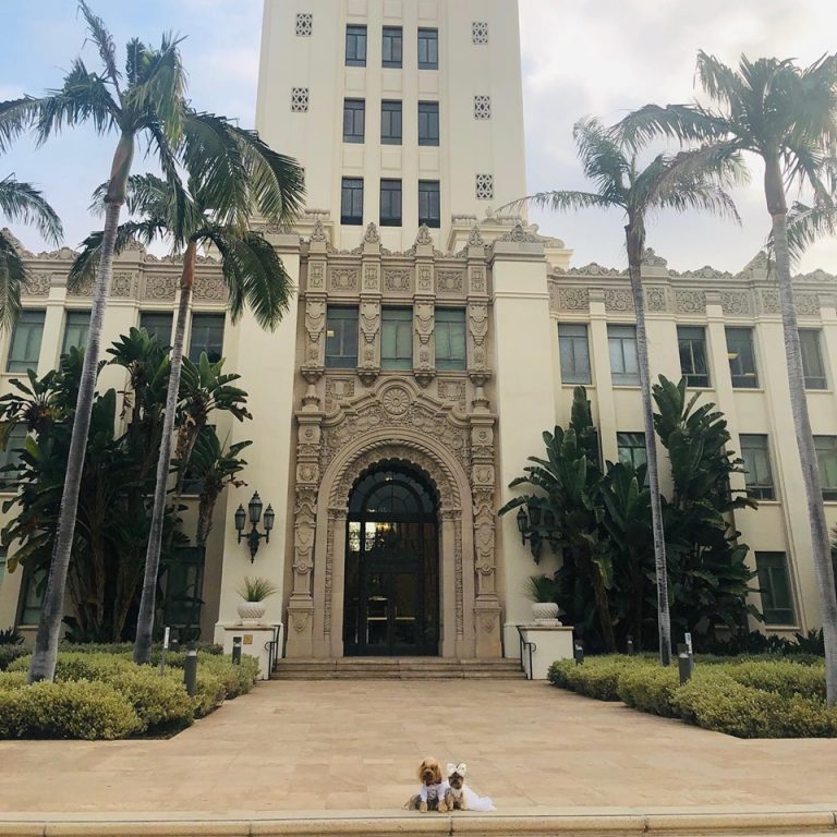 Beverly Hills Launches Trust And Innovation Portal