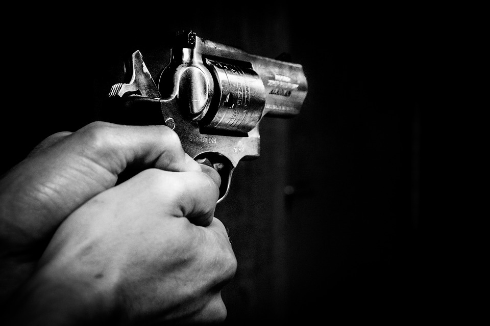 guninhand