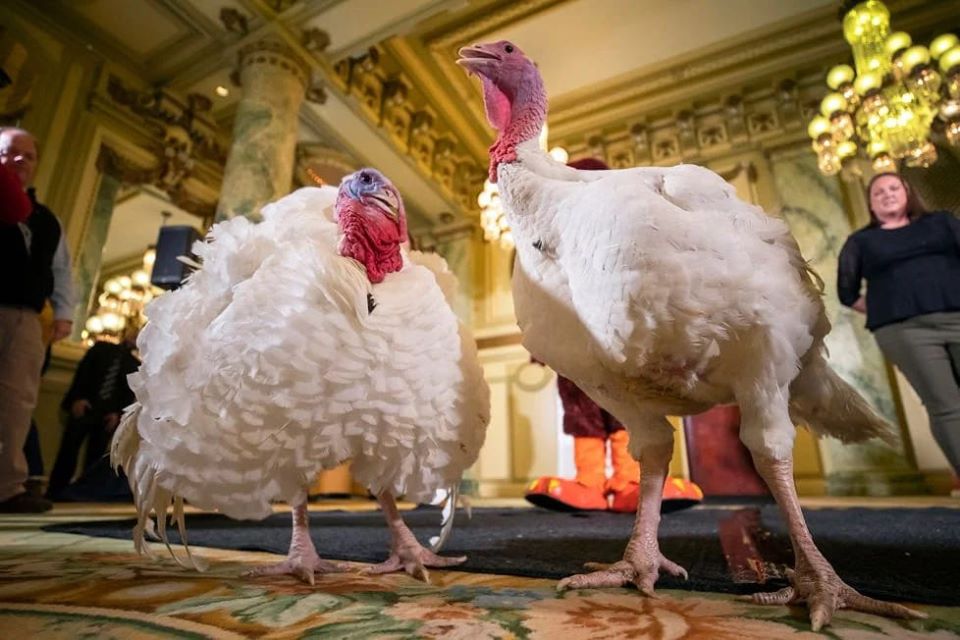 Bread And Butter Vie For The President's Pardon