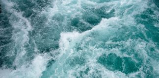 Man Saved From The Sepulveda Basin
