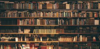 New Non-Profit LEAD Benefits Malibu Schools