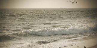 Woman’s Body Discovered At Malibu Lagoon