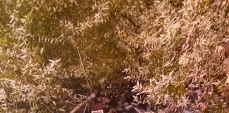 Homeowners Charged With Clean Up Of Homeless Camp