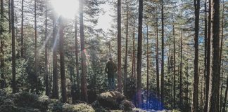 Hiker Dies After Experiencing Cardiac Arrest