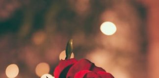 Valentine’s Day 2020!