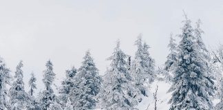 California Woman Found Buried Alive In Her Vehicle