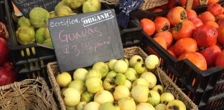 Santa Monica Farmers Market Will Remain Open Amid COVID-19