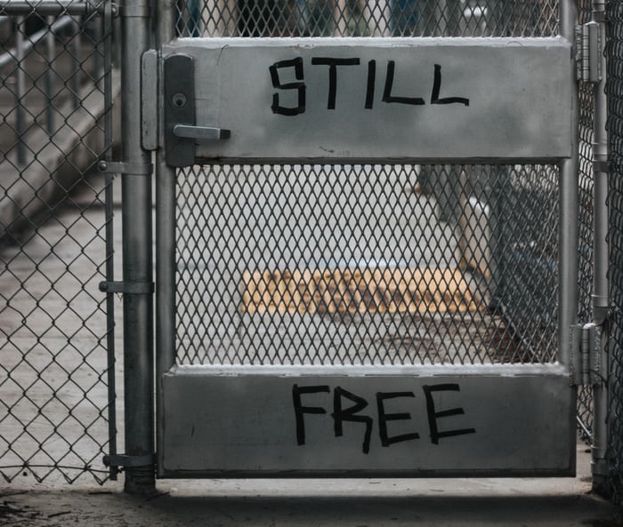 8D64E4C8-6FB9-4AB8-9F26-11497FE20270