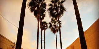 Netflix And American Cinematheque Merge