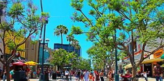 Santa Monica Makes Curbside Pickup Easier
