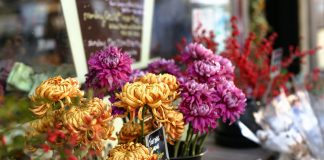 Certain Businesses Given Greenlight To Re-Open