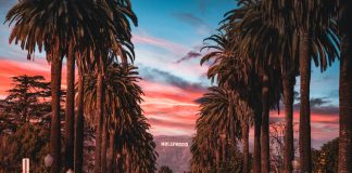 The London Hotel Offers Work-From-Hotel Program Starting June 1