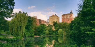 Woman Calls Police On Man Bird Watching