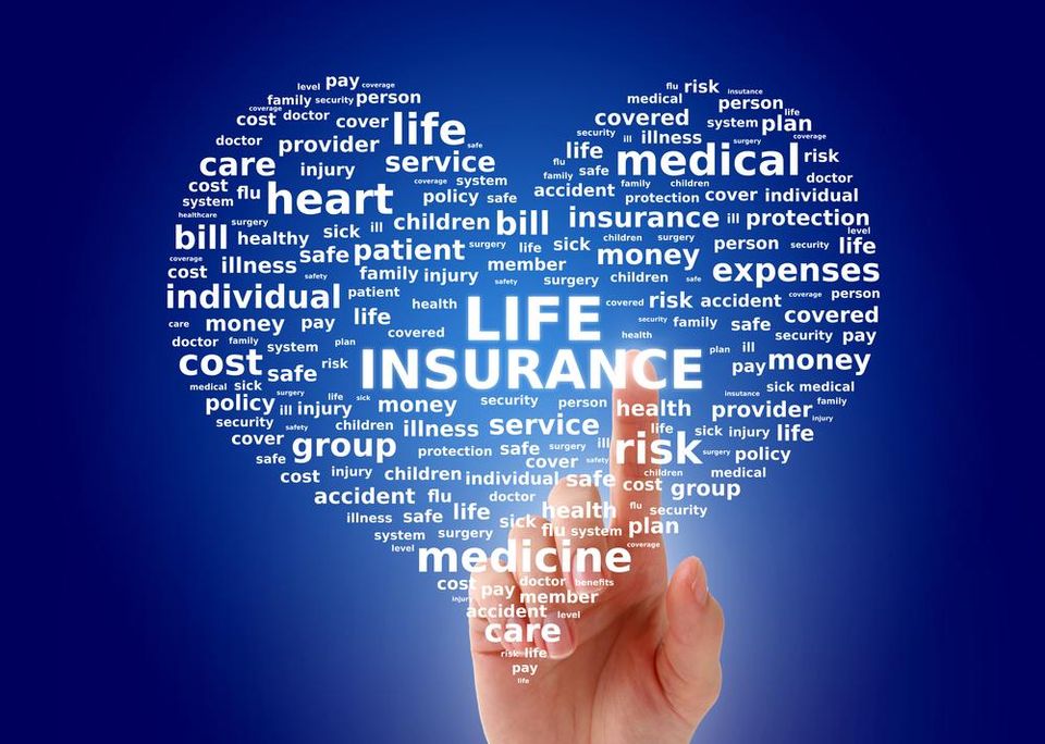 What You Can Do To Reduce Cost Of Your Life Insurance Policy? - Canyon News