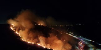 LAFD Confirms Bel Air #SepulvedaFire Contained