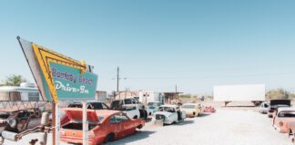 Dave Franco Movie Premieres In Drive-In