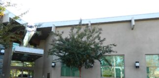 Deadline Approaching For Palisades Library Creative Writing Contest 2020
