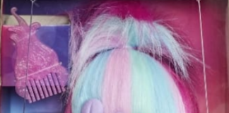 Accusations Of Grooming Feature On Giggle ‘n Sing Poppy Troll Doll