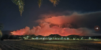 Santa Monica Fire Department Helps Fires Across California