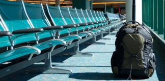 Arman Manukyan Flees The U.S. After Committing PPP Fraud
