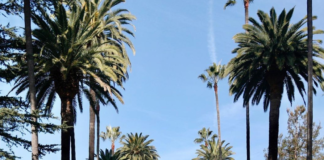 Rally In Beverly Hills Supporting Trump