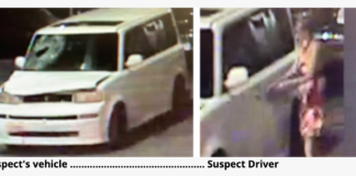 Maria Perez Pleads To Killing A Pedestrian