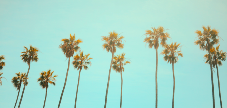 Santa Monica Man Fined For Organizing Illegal Party
