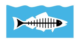 Santa Monica Library Hosts Virtual Event With Aquarium