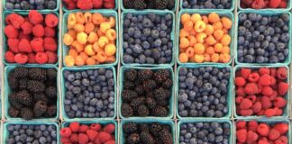 Free Drive-Thru Food Distribution in Santa Monica