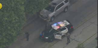 Melrose Avenue Shooting