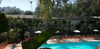 Virtual Meeting to Discuss Project Roomkey