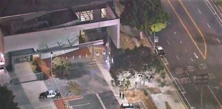 LAPD Officer Injured During Altercation With Suspect