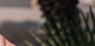 Palisades Community Council Election Results Announced