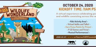 Griffith Park’s Annual Festival Goes Virtual