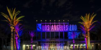 L.A. Zoo To Host Drive-In Movie Nights Throughout October