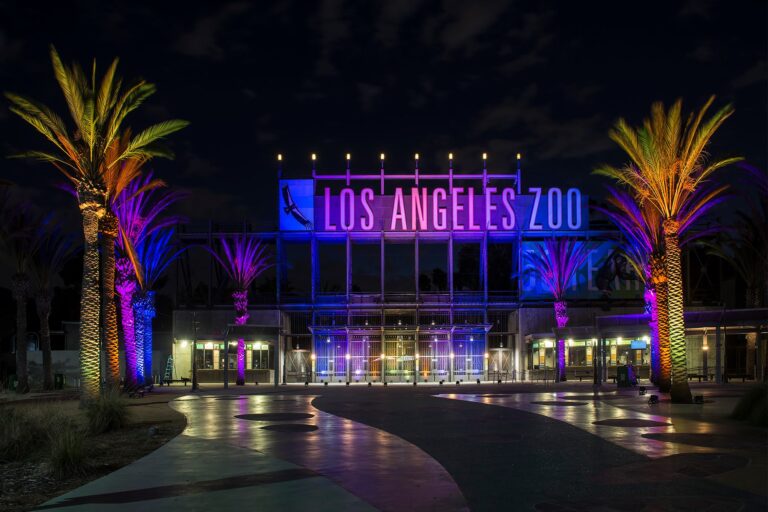 L.A. Zoo To Host Drive-In Movie Nights Throughout October
