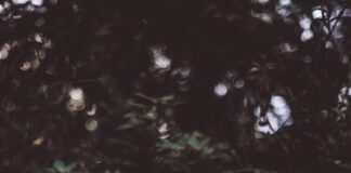 October Means Spooky Horror!